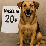 Ferienhaus Amplia Casa Independiente Cerca Del Mar *